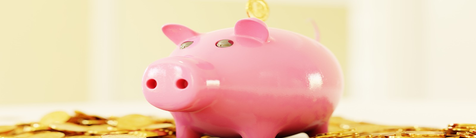 piggy bank sitting in gold coins