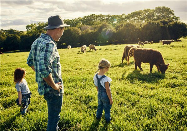 Dad and young daughters standing in a cow field